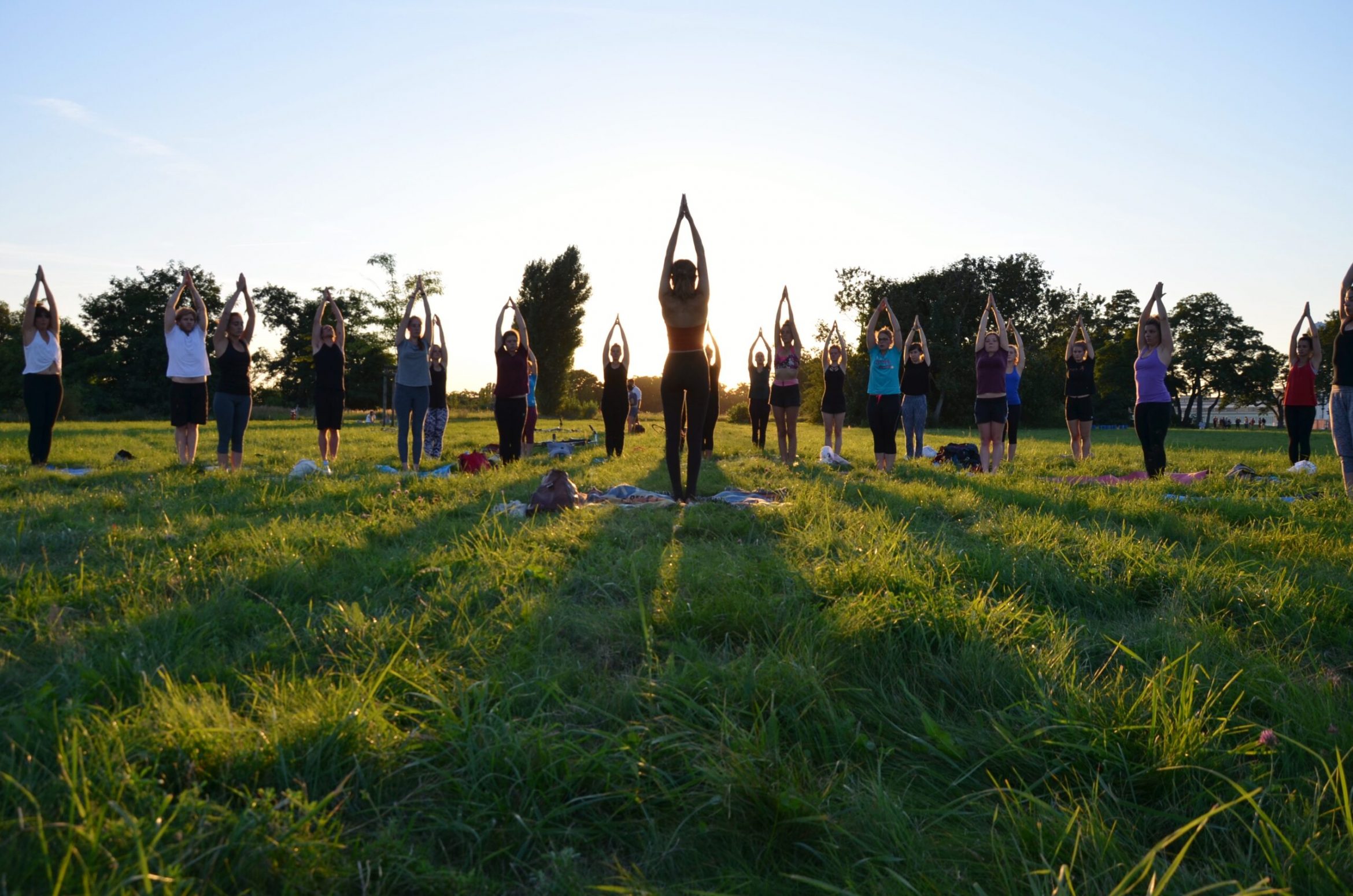 Pressefoto Vinyasa Flow Yoga