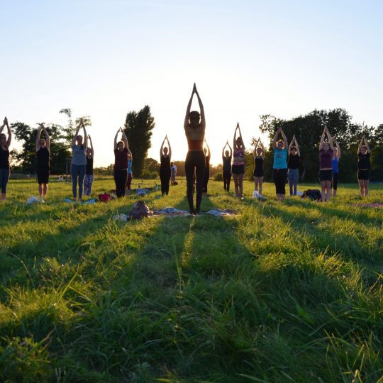 Pressefoto Vinyasa Flow Yoga